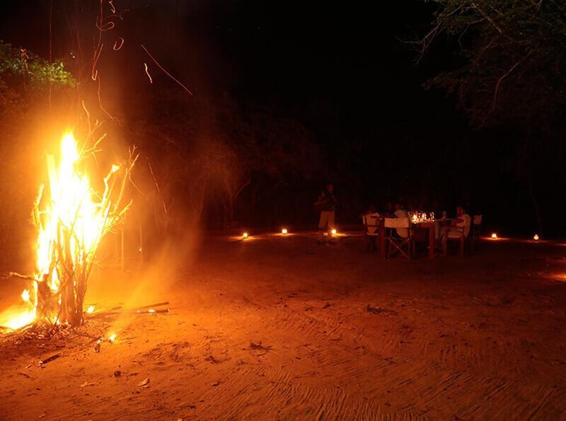 Yala Hotel Lion -Air Conditioned High Luxury Safari Camp Luaran gambar
